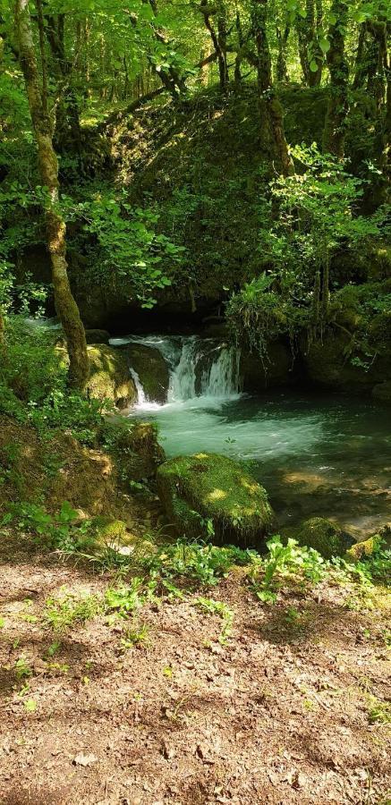 Gite Des Reculees Ladoye-sur-Seille Exterior foto